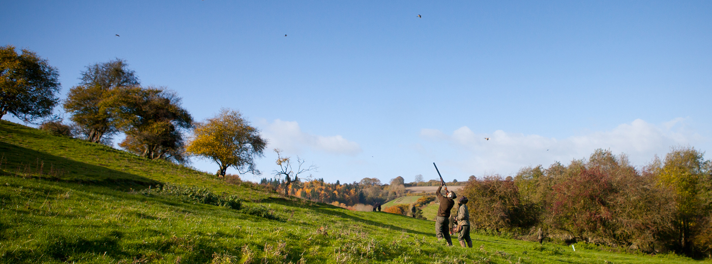 The Downton Shoot