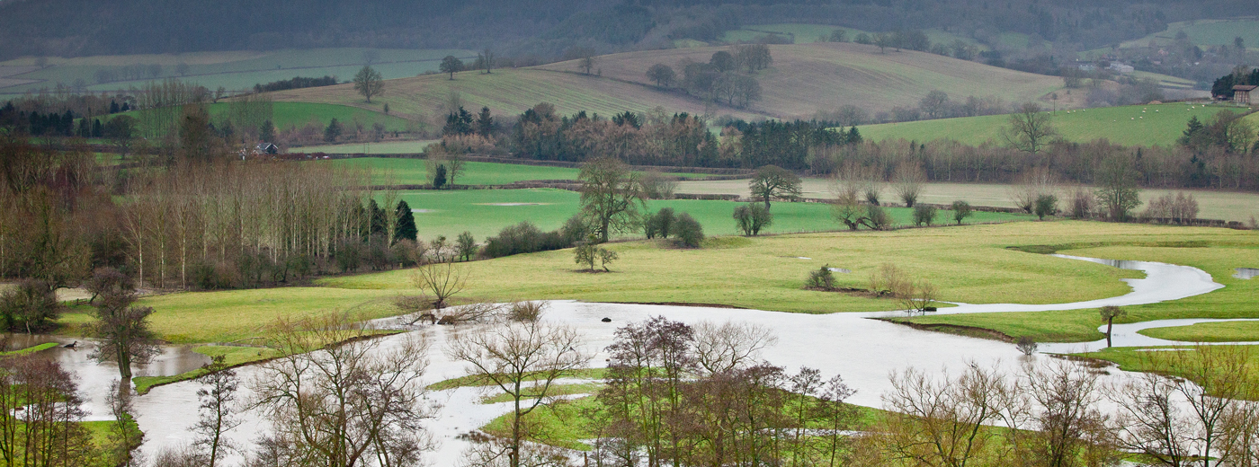 The Downton Shoot