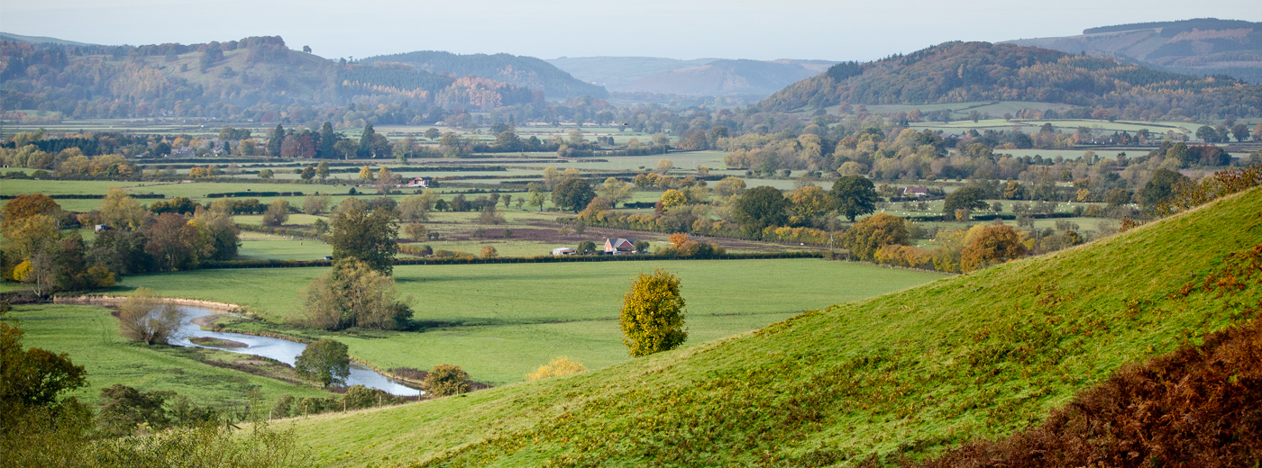 The Downton Shoot