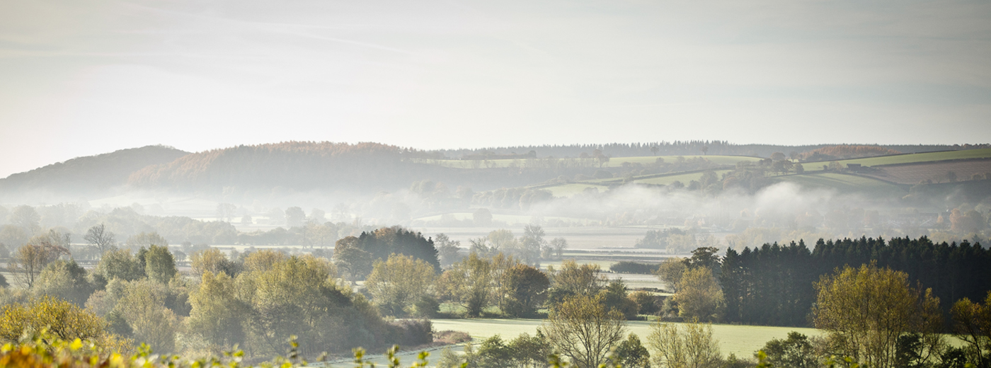 The Downton Shoot